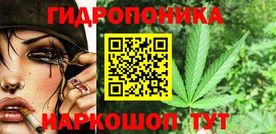 мдпв Рыбинск