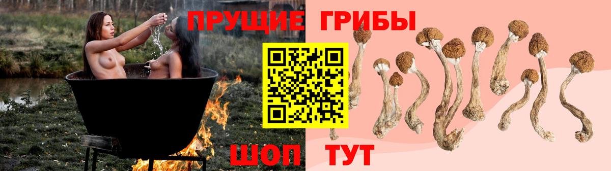 Новокузнецк  Псилоцибиновые грибы Cubensis  Вход с VPN 